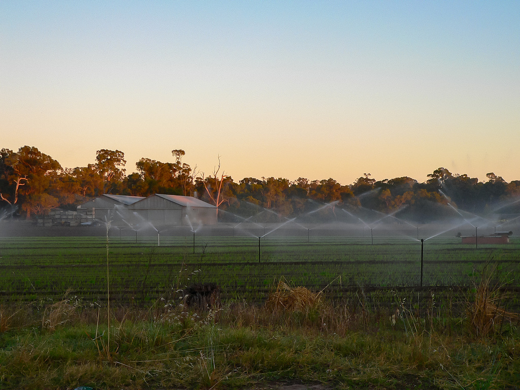 Early Fields