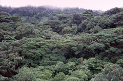 Selvatura , Monteverde_Costa Rica