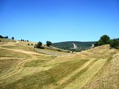 Послије косидбе (Аfter mowing)