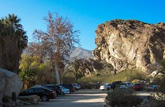 Palm Springs Andreas Canyon (5107)