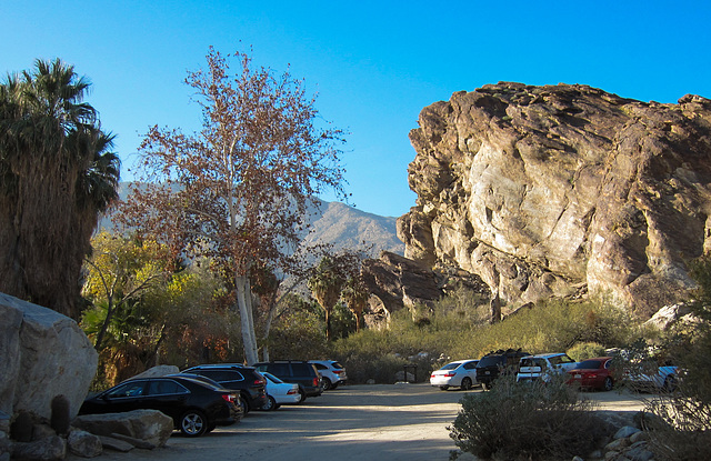 Palm Springs Andreas Canyon (5107)