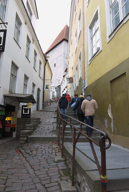 Kurzer Domberg (Lühike jalg) Kurzer Domberg (Lühike jalg)