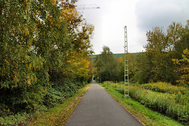Radweg auf der ehemaligen RBH-Zechenbahn (Herten) / 17.10.2020