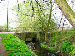 Tene Brook on its way to join the Smestow