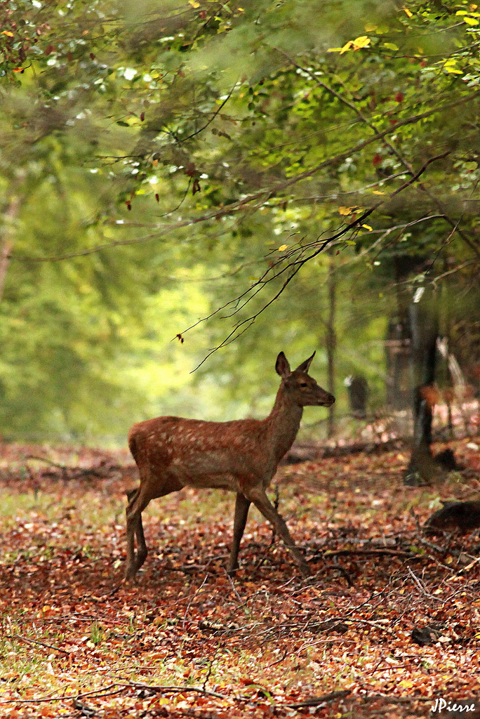 Belle rencontre