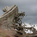 Dead Wood