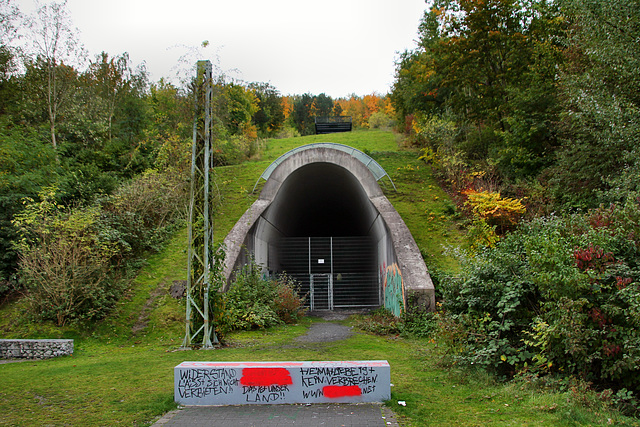 Tunnel der ehem. RBH-Zechenbahn unter der Halde Hoheward (Herten) / 17.10.2020