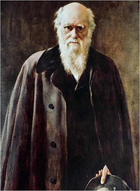 Portrait of Darwin by John Collier (1883)