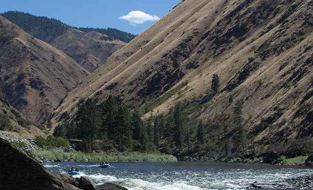 Idaho Salmon River rafting (#0134)