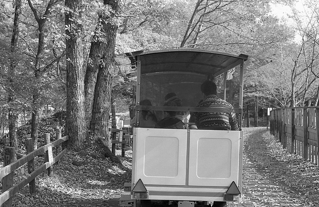 Train in the playground