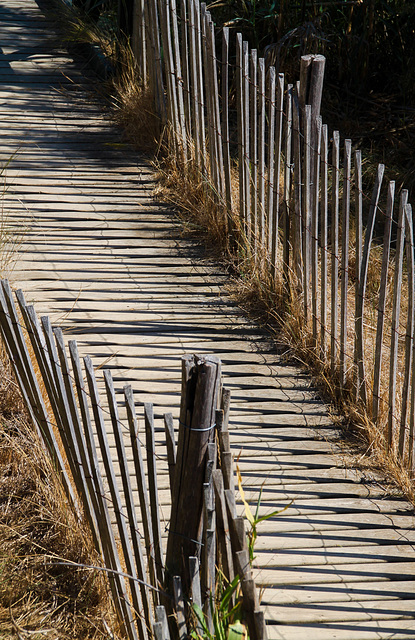 A Fence for Friday