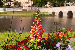 Gartenschau in Tirschenreuth 2013