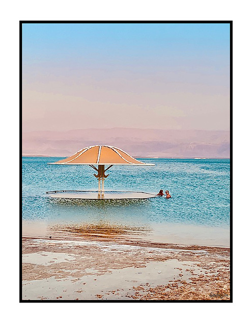 champignon en mer morte champignon en mer morte