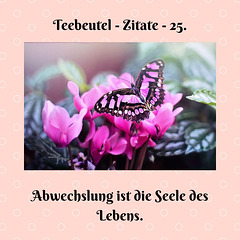 Teebeutel - Zitate - 25.