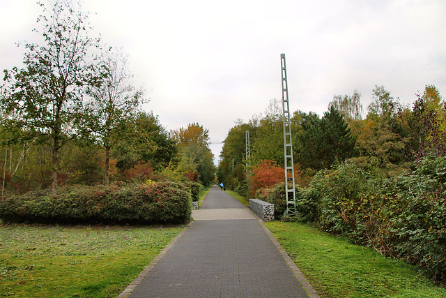 Radweg "Allee des Wandels" auf der ehem. RBH-Zechenbahntrasse (Herten) / 17.10.2020