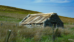 It needs flagstones on the roof to withstand winter gales on Orkeny
