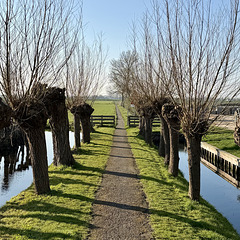 Gelderwoudse Kerkepad