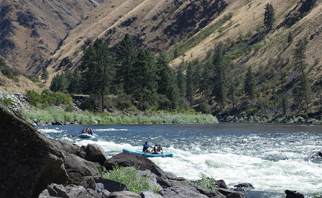 Idaho Salmon River rafting (#0135)