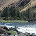 Idaho Salmon River rafting (#0135)