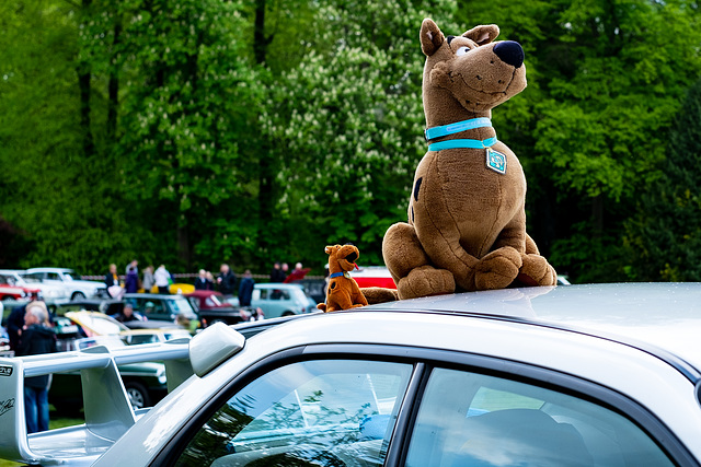 Car Show guests