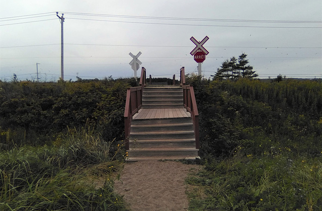 Stairway to the train / Escalier vers le train