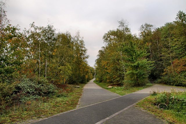 Halde Hoheward, Herten / 17.10.2020