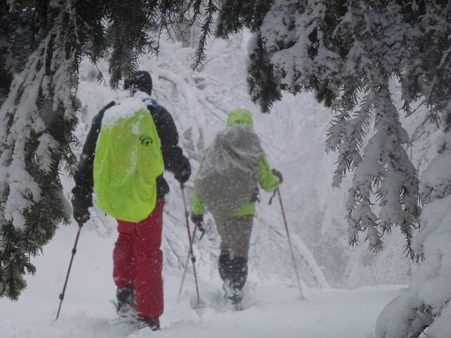 20150221 Raquettes Vercors Col de la Machine (58) al