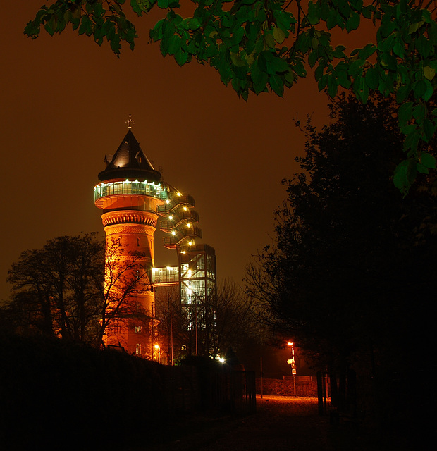 Aquarius bei Nacht