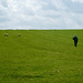 Steady climb across fields towards Gaddesby