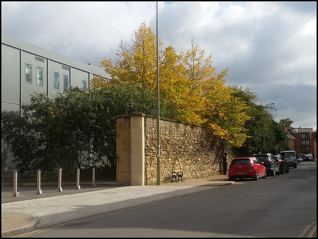 Walton Street wall in Jericho