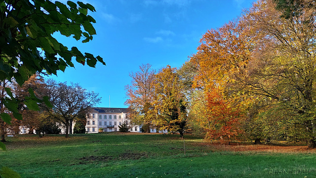 Im Park auf dem Sachsenberg