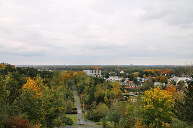 Aussicht vom Balkon 3 (Halde Hoheward, Herten) / 17.10.2020