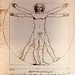 Fig. 44 Leonardo's 'Vitruvian Man'