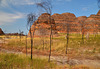 Purnululu National Park