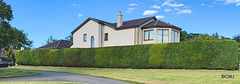 Hedge-trimming is a major annual exercise!