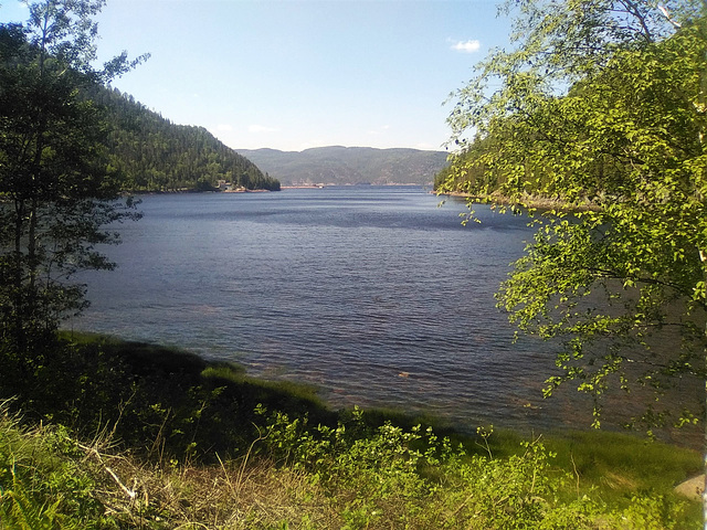 Coup d'oeil sur le fjord