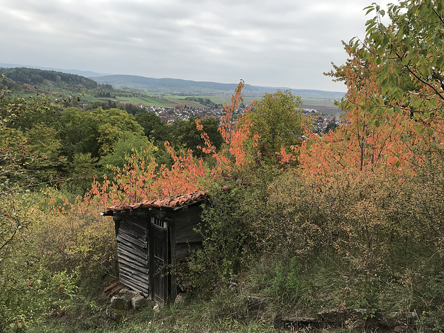 herbstliches Farbenspiel