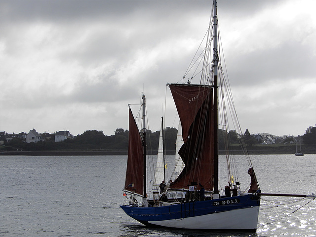 au fil de l'eau sortie du port,