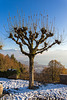 131202 Mont-Pelerin A