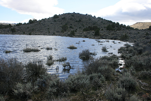 "Dog Bone Pond"