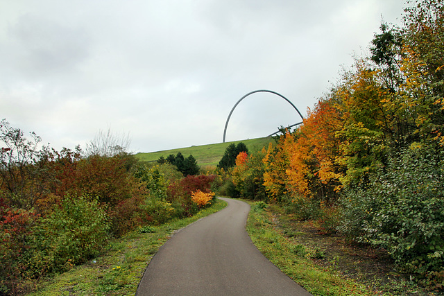 Halde Hoheward, Herten / 17.10.2020