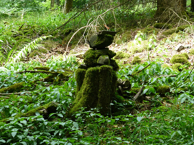 Gesehen auf dem Hochbermeler