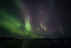 Aurora im Sørøysund