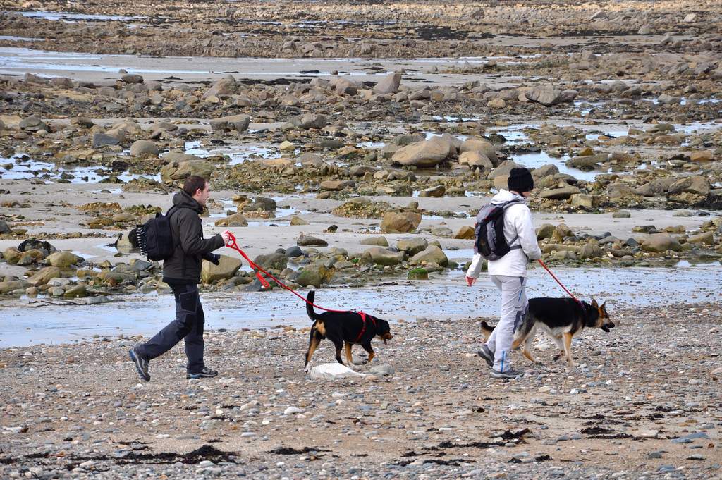 Promeneurs sur le Sillon de Talbert