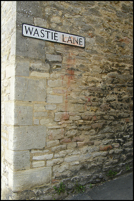 Wastie Lane