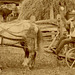 Horses, Cows, and Plows (Detail 3)