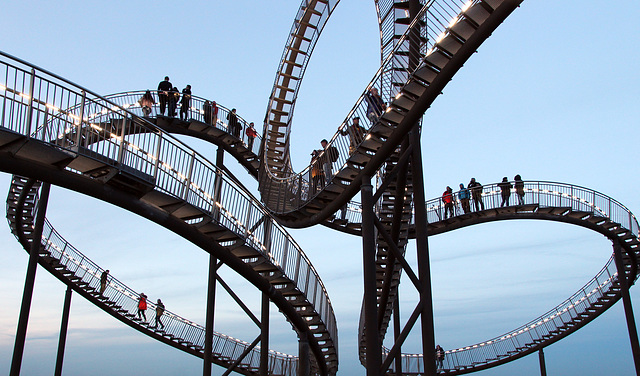 Tiger & Turtle