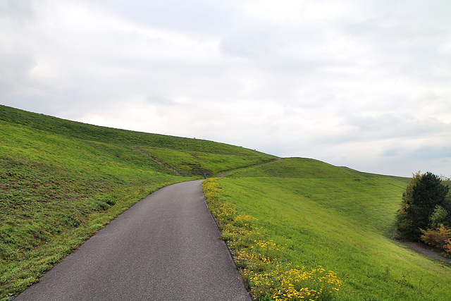 Halde Hoheward, Herten / 17.10.2020