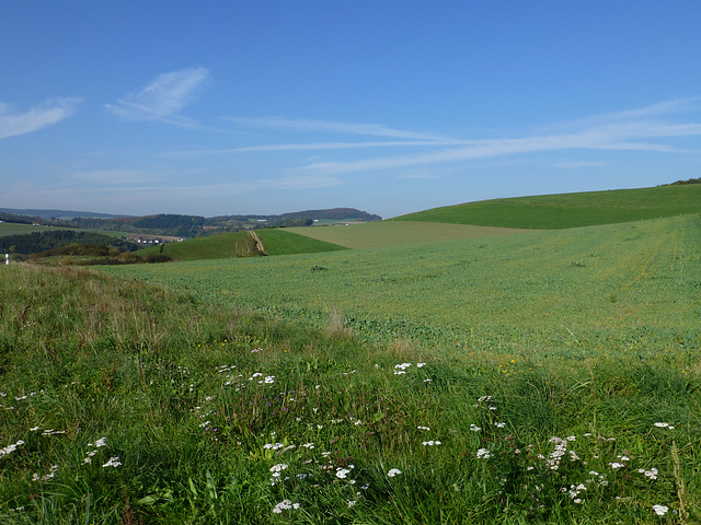 Auf dem Heidehimmel