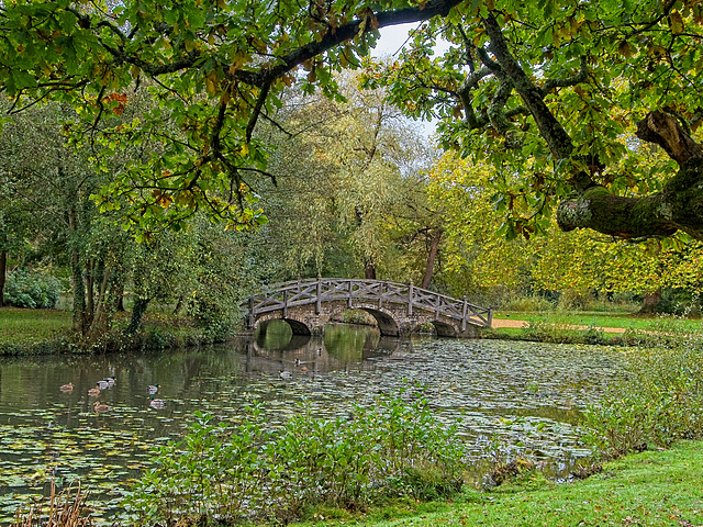 The Chinese Bridge